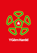 The Beautiful Game - World Cup Print by Trevor Johnson