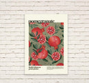 Pomegranate Print by Kate Fox Design